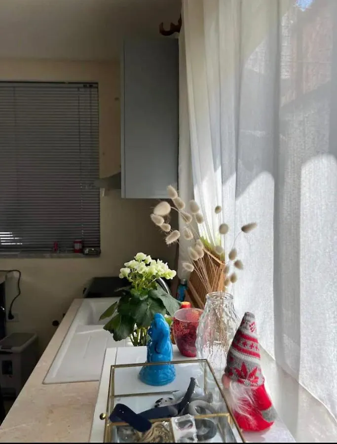 Brilant Studio Apartment City Center Tirana